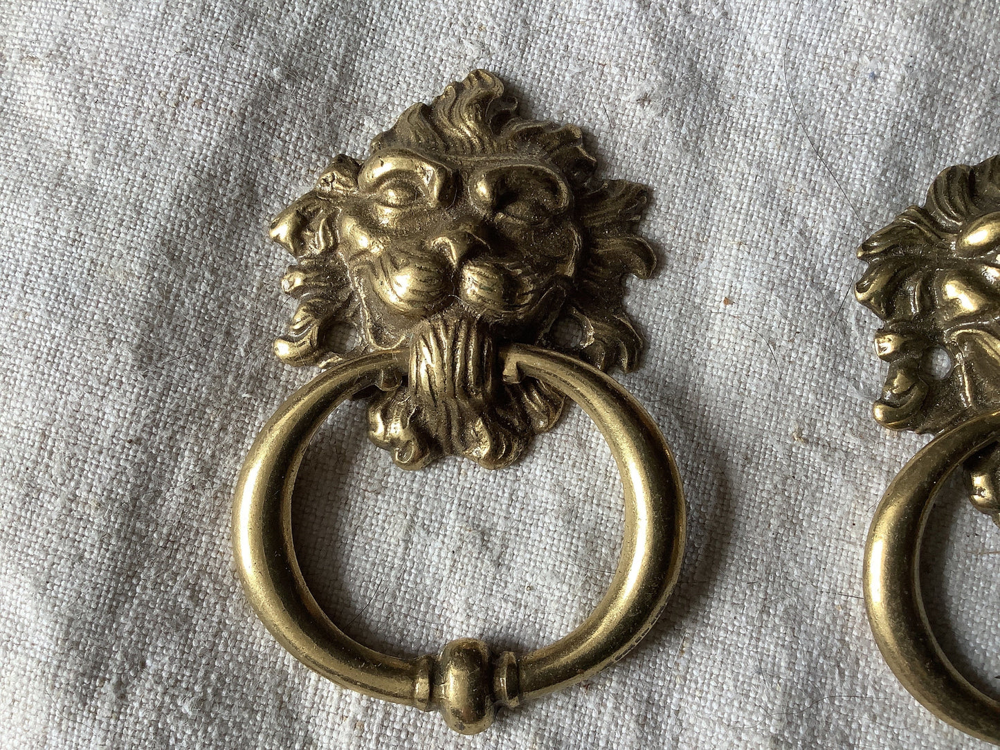 Antique Decorative Two matching circular Brass Furniture Lion head Handles Ormolu Brass 1960s, made in France