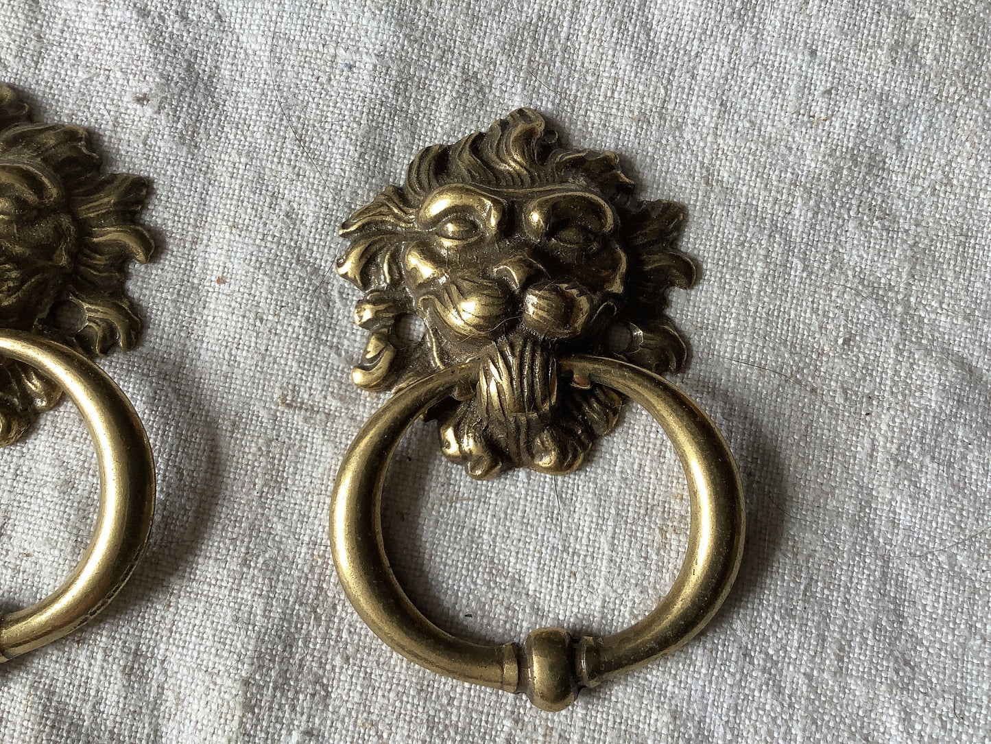 Antique Decorative Two matching circular Brass Furniture Lion head Handles Ormolu Brass 1960s, made in France